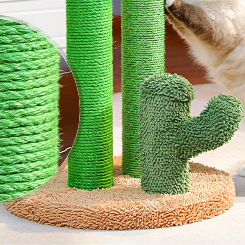 Le cactus
