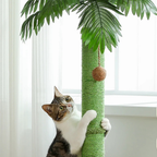 Le palmier