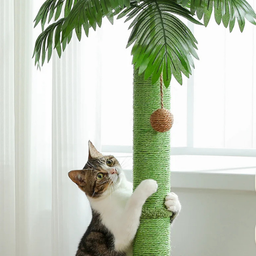 Le palmier