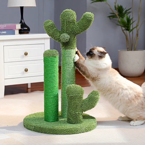 Le cactus