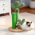 Le cactus