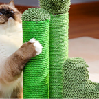 Le cactus