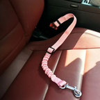 Ceinture du globe trotteur