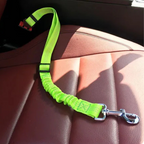 Ceinture du globe trotteur