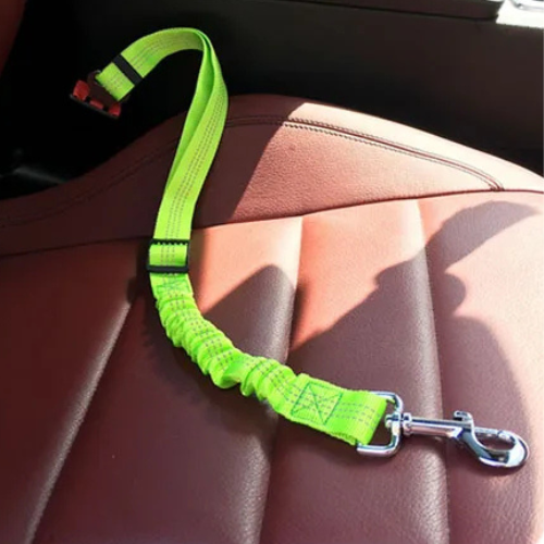 Ceinture du globe trotteur