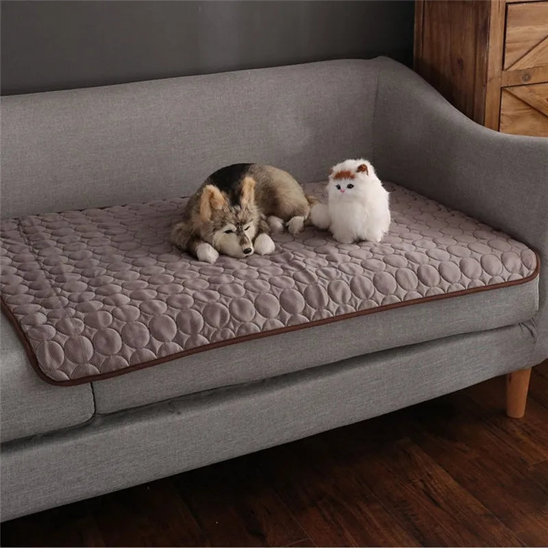 Tapis du Nord