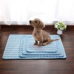 Tapis du Nord