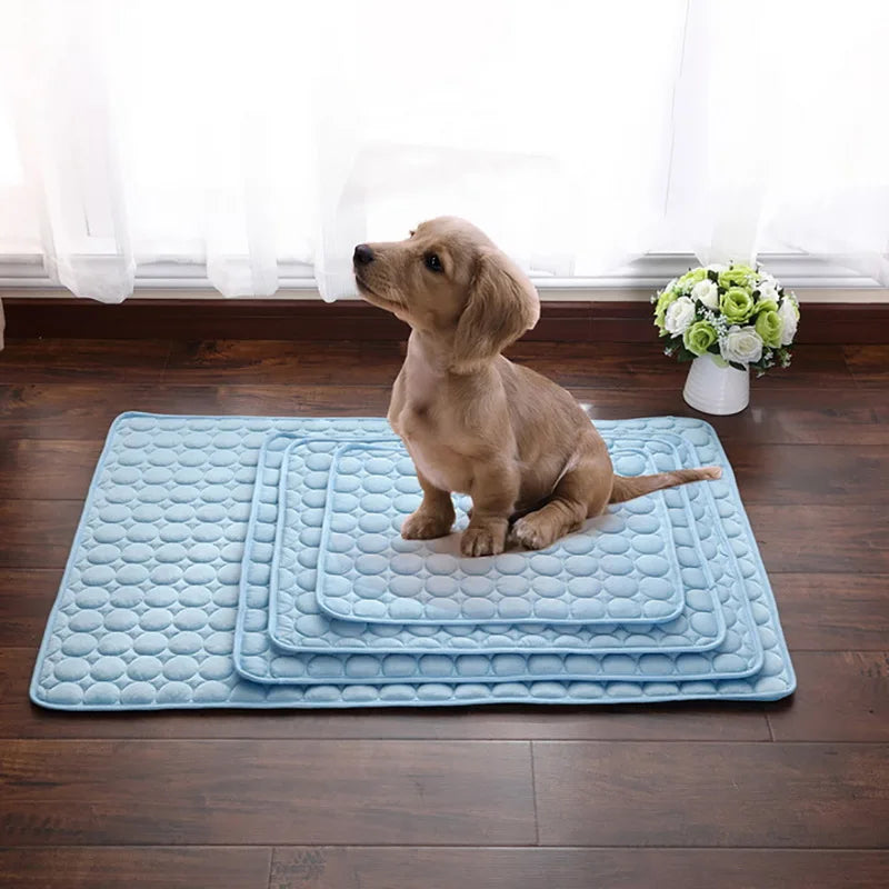 Tapis du Nord