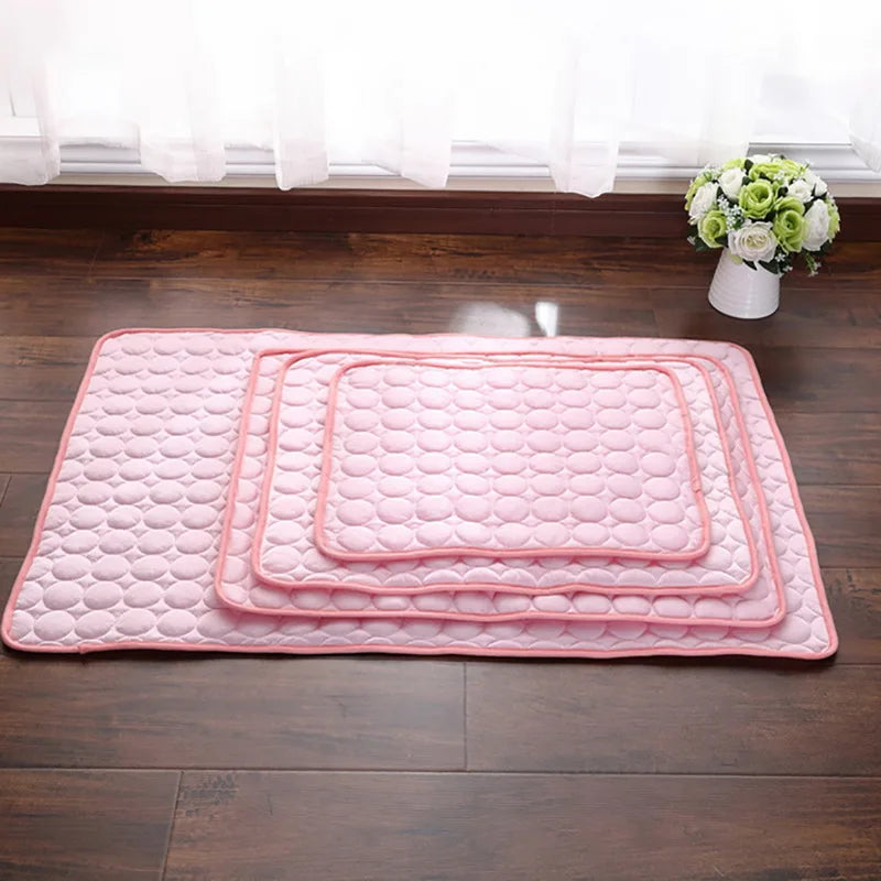 Tapis du Nord