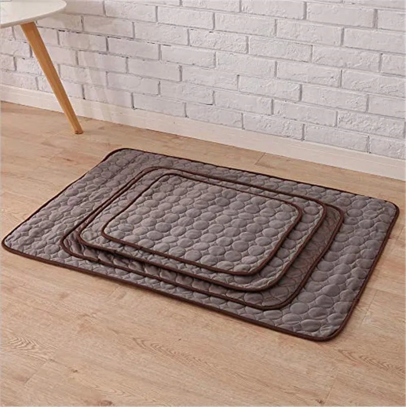 Tapis du Nord