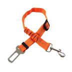 Ceinture du globe trotteur