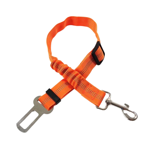 Ceinture du globe trotteur