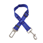Ceinture du globe trotteur