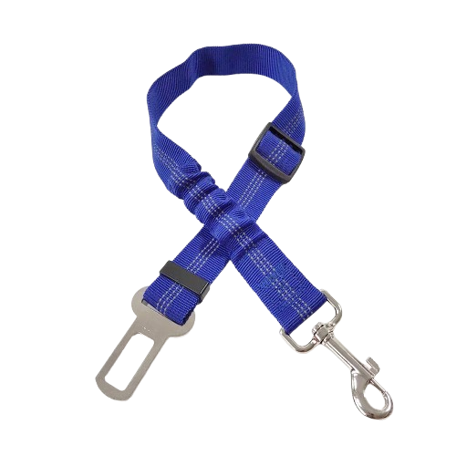 Ceinture du globe trotteur