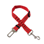 Ceinture du globe trotteur