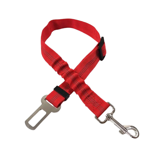 Ceinture du globe trotteur