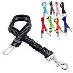 Ceinture du globe trotteur