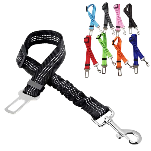 Ceinture du globe trotteur
