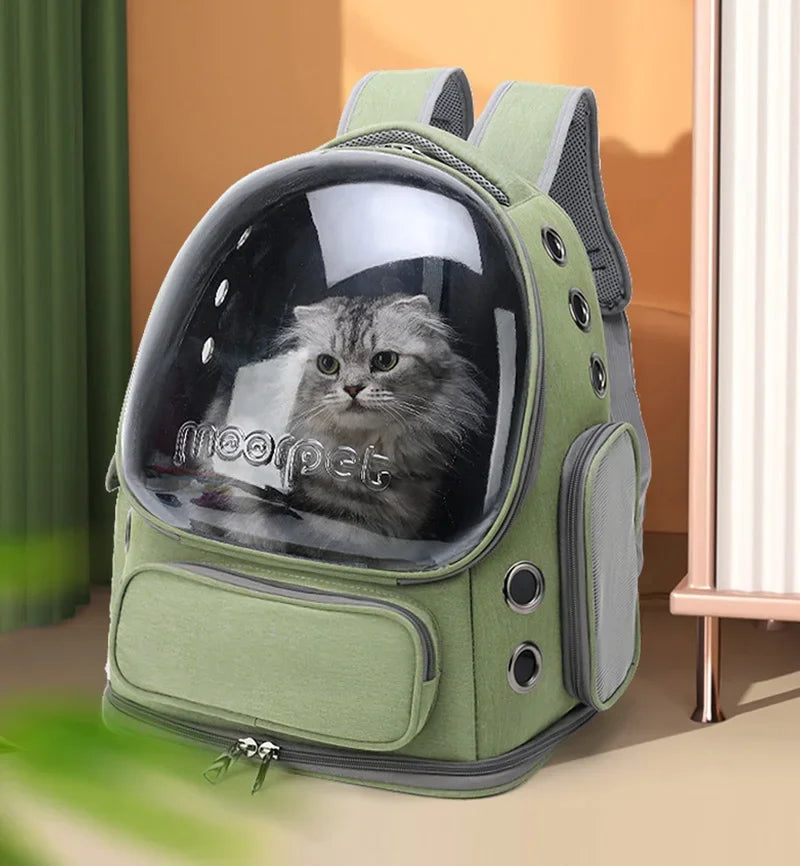 Sac explorer