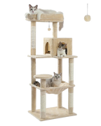 Tour des explorateurs