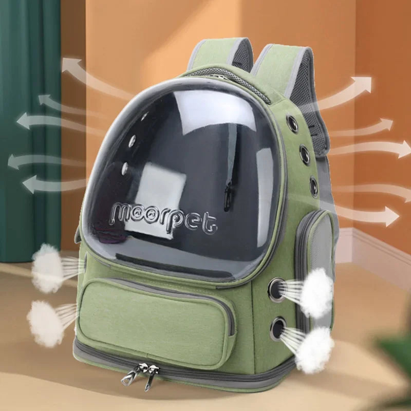 Sac explorer