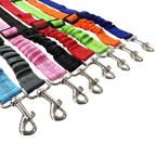 Ceinture du globe trotteur