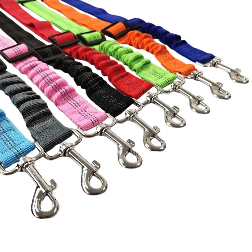 Ceinture du globe trotteur