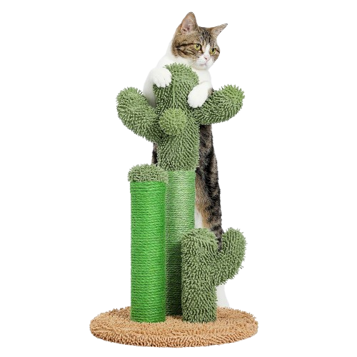 Le cactus
