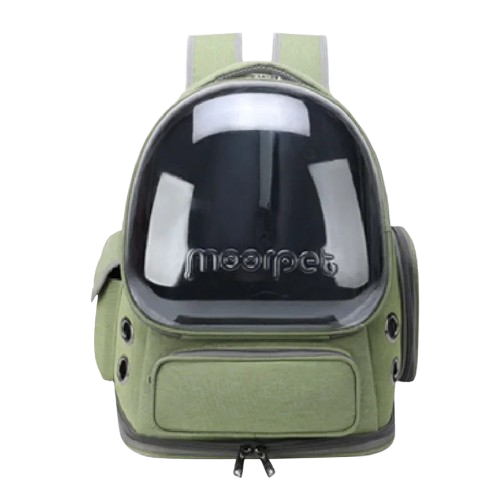 Sac explorer