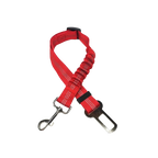 Ceinture du globe trotteur