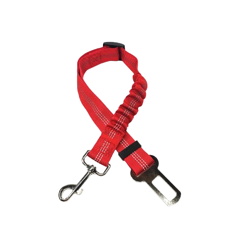 Ceinture du globe trotteur