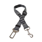 Ceinture du globe trotteur