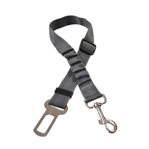 Ceinture du globe trotteur