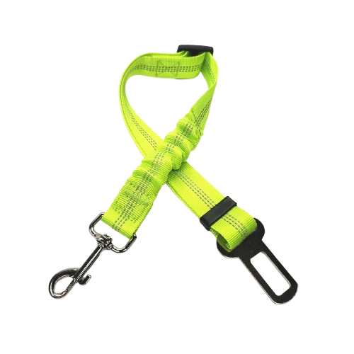 Ceinture du globe trotteur