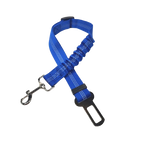Ceinture du globe trotteur