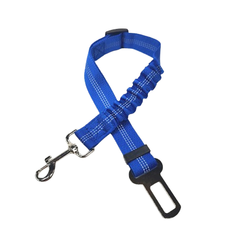 Ceinture du globe trotteur