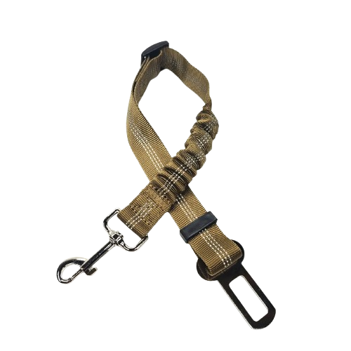 Ceinture du globe trotteur