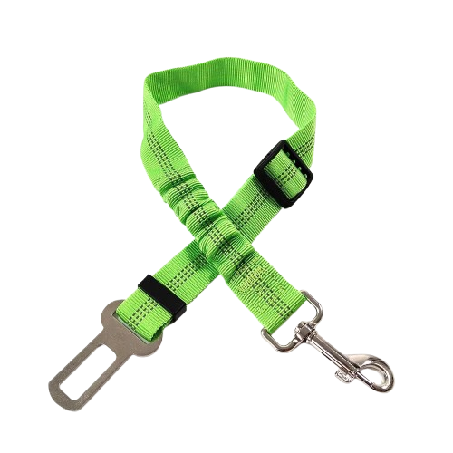 Ceinture du globe trotteur