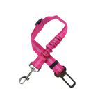 Ceinture du globe trotteur