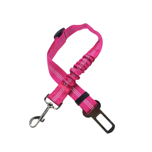 Ceinture du globe trotteur