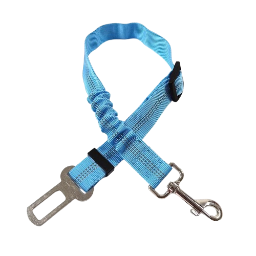 Ceinture du globe trotteur
