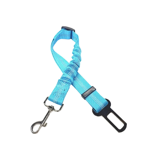 Ceinture du globe trotteur