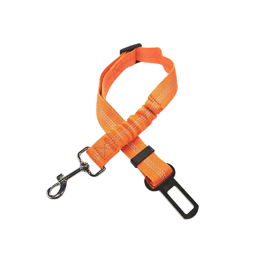 Ceinture du globe trotteur