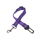 Ceinture du globe trotteur