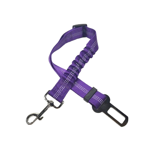 Ceinture du globe trotteur
