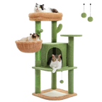 Cactus d'ailleurs