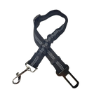 Ceinture du globe trotteur