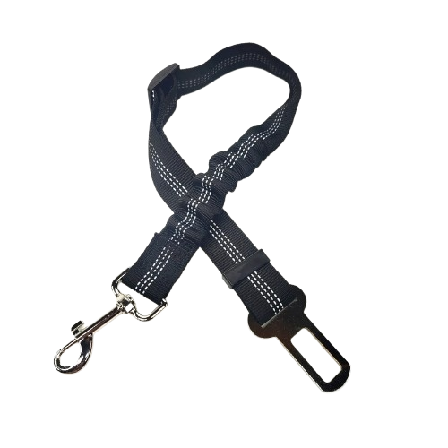Ceinture du globe trotteur