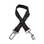 Ceinture du globe trotteur