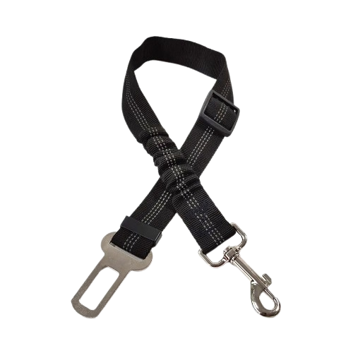 Ceinture du globe trotteur